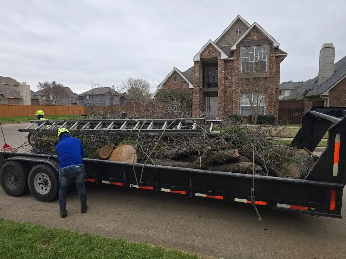 Expert Lot Clearing with proper safety equipment in Seville